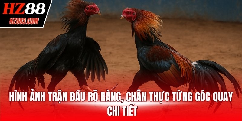 Hình ảnh trận đấu rõ ràng, chân thực từng góc quay chi tiết